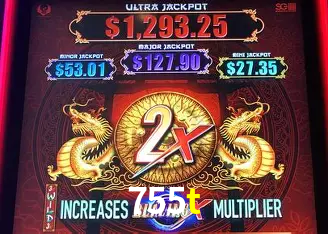 Descubra a Essência do 755t: Nossa História e Compromissos